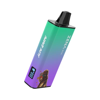 12000 puffs jednokratni Vape prilagodljiv