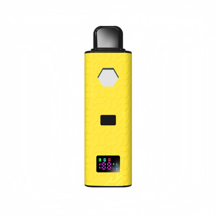 2025 Classical Best Quality Empty 2 Grams Dual Coil Disposable Vape With Professional Screen Display Remaining Power, Voltage